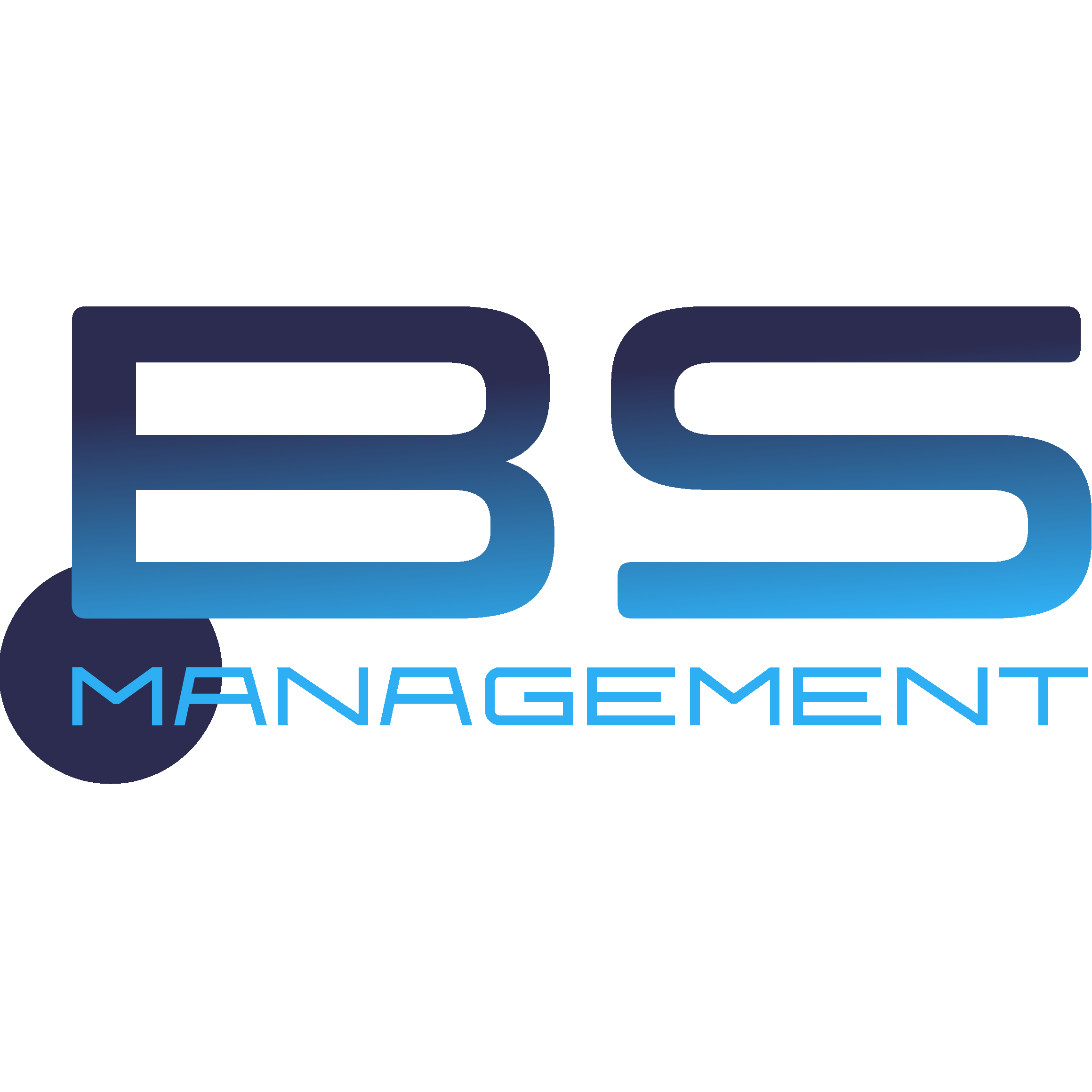 BS Management GmbH & Co. KG
